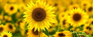 Audiodatei unserer Kinder! Audiodatei unserer Kinder!